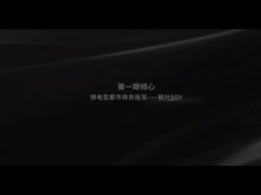 জিলি ম্যাপেল লিফ 80V