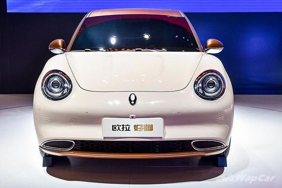 150কিমি/ঘণ্টা ইকো ফ্রেন্ডলি ইলেকট্রিক যান 400KM ওআরএ গুড ক্যাট পিওর ইলেকট্রিক গাড়ি