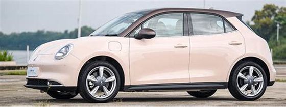 150কিমি/ঘণ্টা ইকো ফ্রেন্ডলি ইলেকট্রিক যান 400KM ওআরএ গুড ক্যাট পিওর ইলেকট্রিক গাড়ি