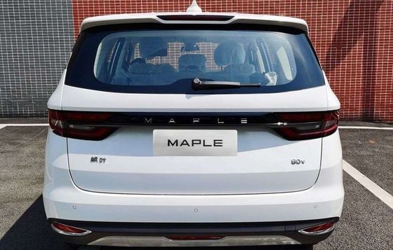 Geely Maple Leaf 80V পিওর ইলেকট্রিক কার MPV FWD চমৎকার সংস্করণ 130Km/h