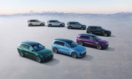 42.8kWh ব্যাটারি 6 আসনের বৈদ্যুতিক SUV