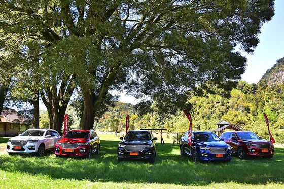 110km 4 হুইল ড্রাইভ বৈদ্যুতিক গাড়ি GWM Haval H6 DHT PHEV প্লাগ ইন হাইব্রিড যানবাহন