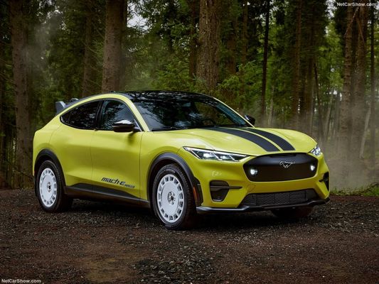 অনন্য র্যালি সাসপেনশন, ফ্যামিলি কার আউট ফোর্ড মস্ট্যাং ম্যাক-ই র্যালিতে রেসিংয়ের অনুভূতি (2024) 480 অশ্বশক্তি