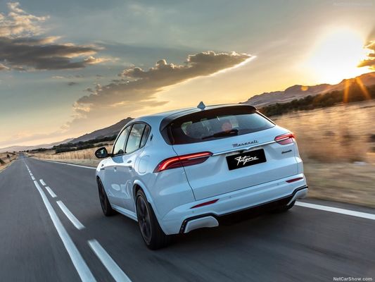 ৪৫০ রেঞ্জ এবং সর্বোচ্চ গতি ৩২৫ কিলোমিটার/ঘন্টা সহ বিশুদ্ধ বৈদ্যুতিক নতুন এনার্জি গাড়ি