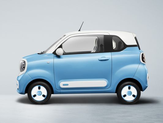 এফএডাব্লু বেস্টুন এনার্জেটিক পনি ইভি হ্যাচব্যাক 170 কিমি রেঞ্জ ইলেকট্রিক গাড়ি