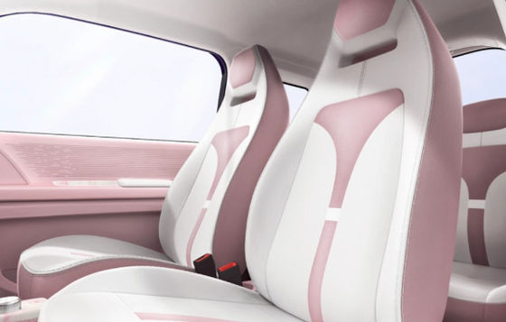 মাল্টি কালার অপশন মিনি ইভ কারস জিডো রেইনবো সিএলটিপি 205km 17.13/17.3kwh ব্যাটারি সহ 20&30kw পাওয়ারের জন্য